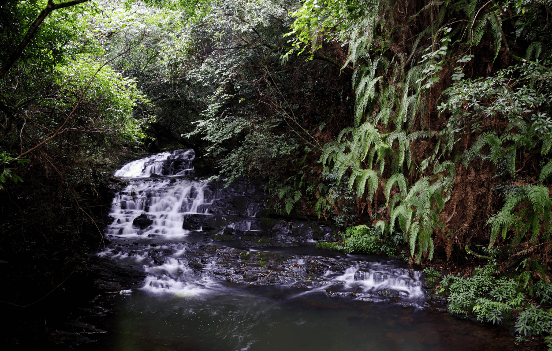 Trip to Elephanta Falls